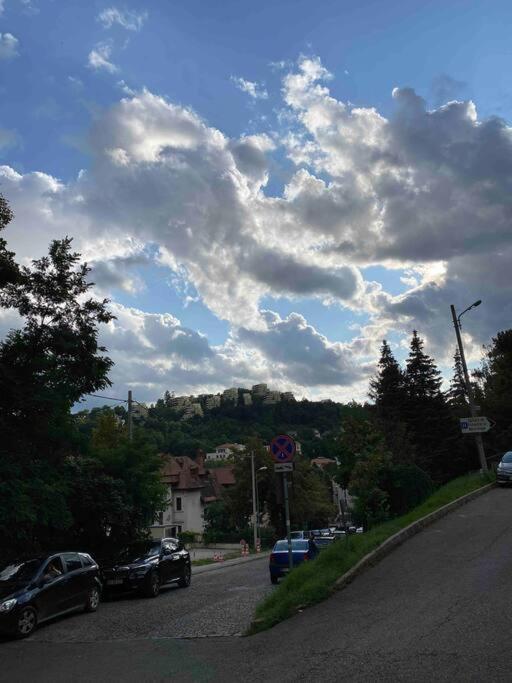 Hidden Gem Apartment In The Center Of The City Braşov Extérieur photo