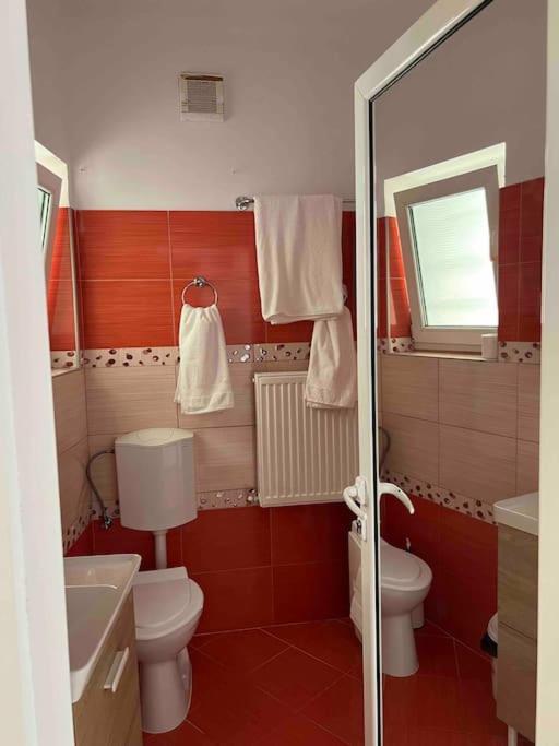Hidden Gem Apartment In The Center Of The City Braşov Extérieur photo