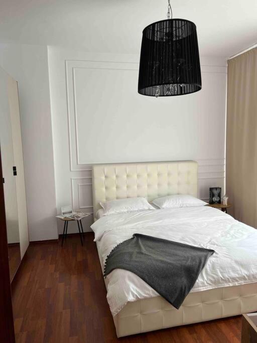 Hidden Gem Apartment In The Center Of The City Braşov Extérieur photo