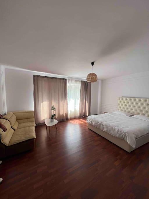 Hidden Gem Apartment In The Center Of The City Braşov Extérieur photo